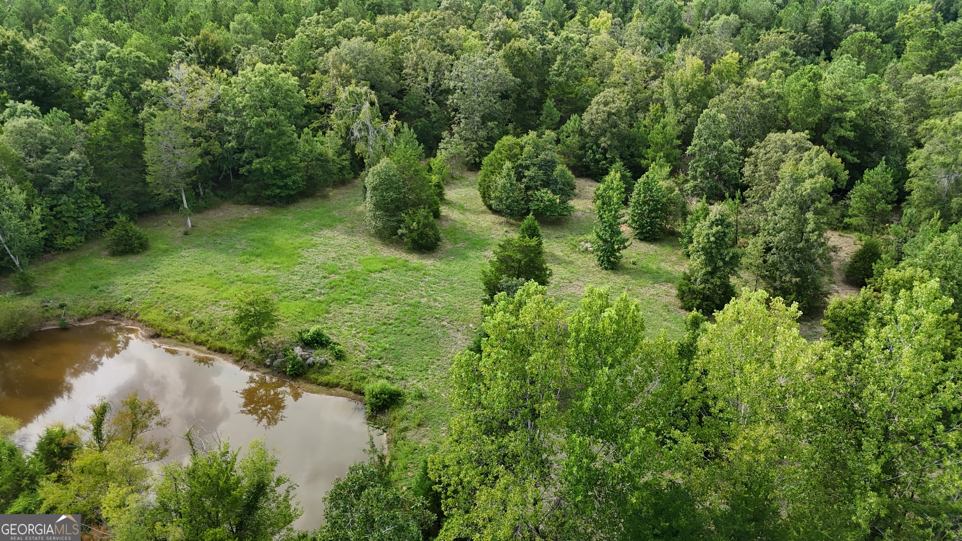 2994 Cherokee Road Elberton, GA 30635 - Photo 1 of 1 a view of a lush green forest with lawn chairs next to a lake