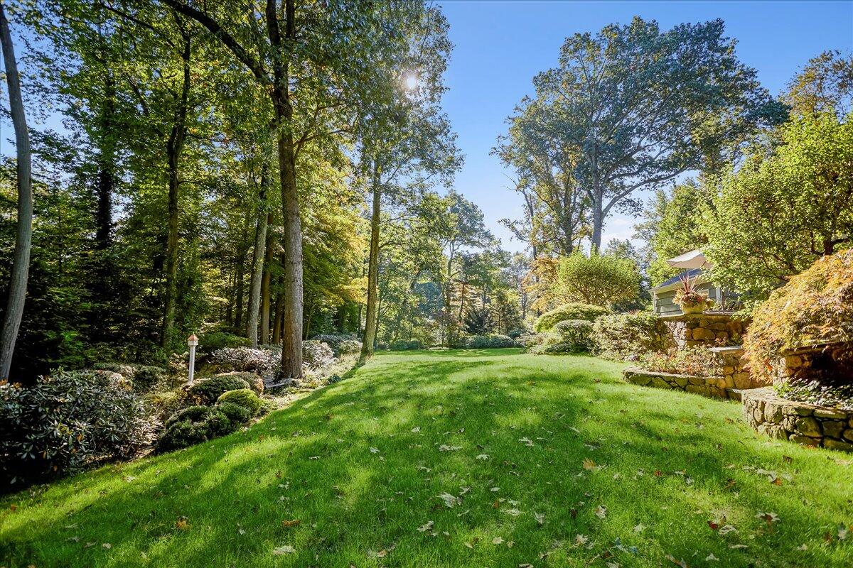 110 Ridge Acres Road Darien, CT 06820 - Photo 26 of 30 a view of a park with large trees