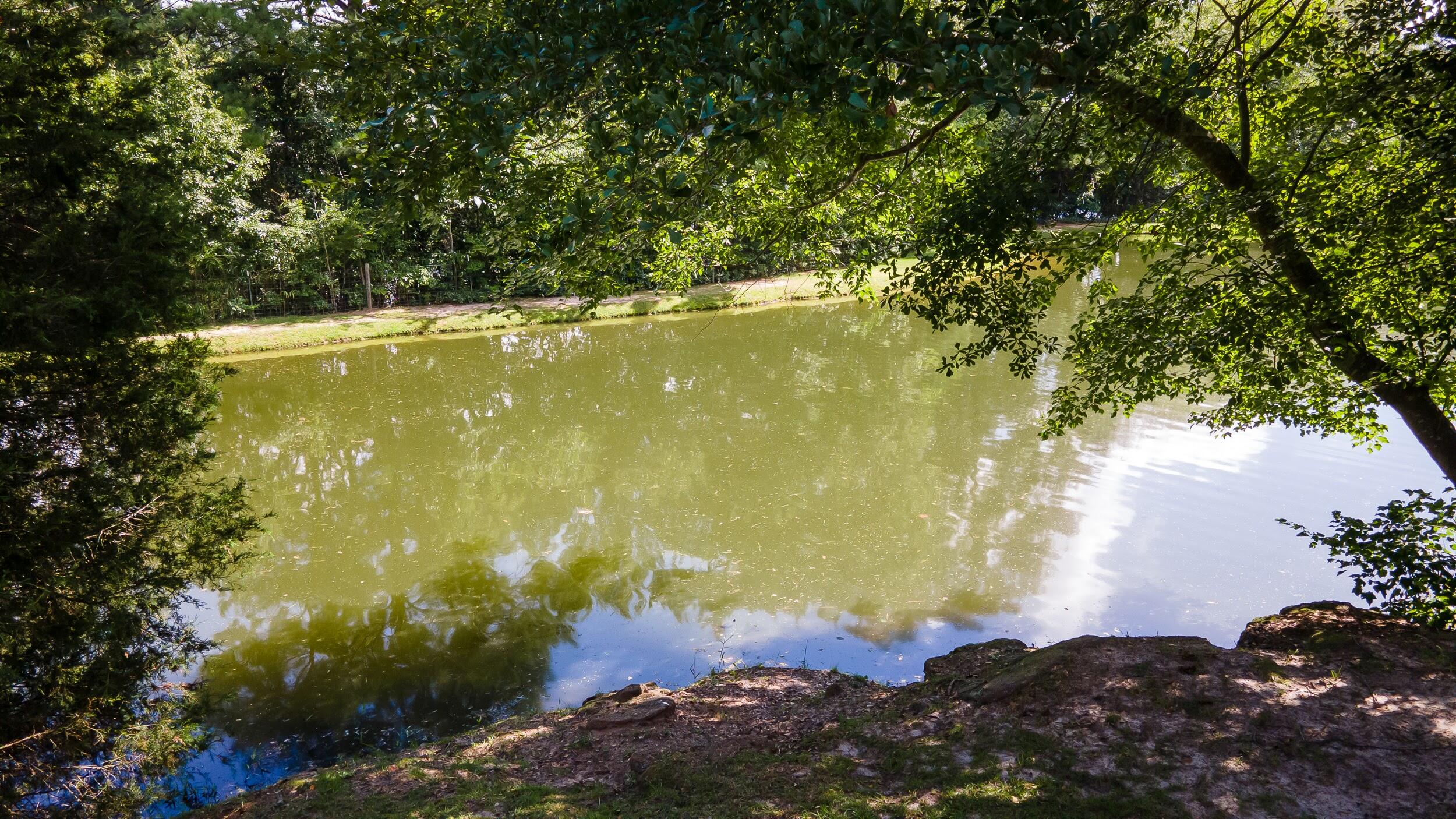 611 Morris Pond Road Aiken, SC 29801 - Photo 22 of 31 Gallery Image 22