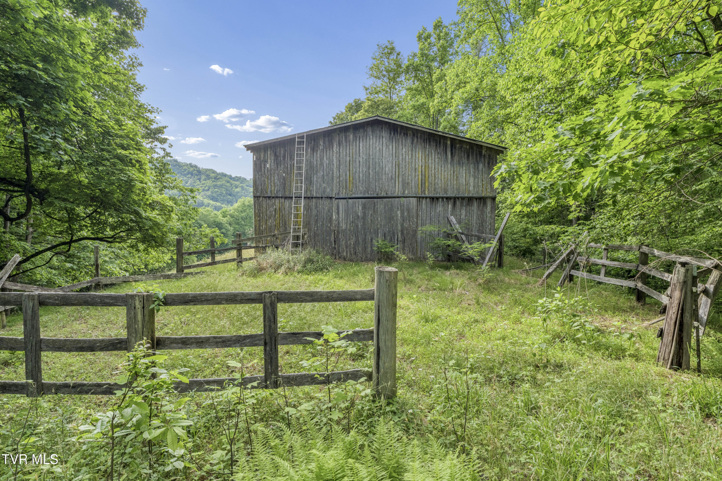 128 Lum McIntosh Road Erwin, TN 37650 - Photo 74 of 106 LumMc--60