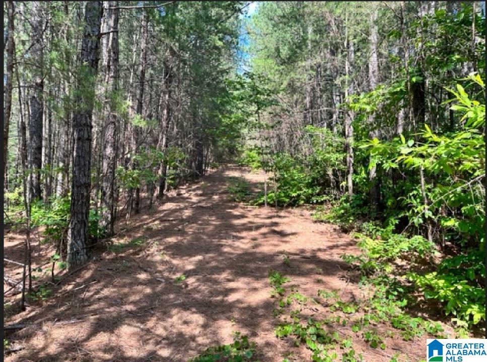 0 County Road 224, Unit 1 Fruithurst, AL 36262 - Photo 1 of 13