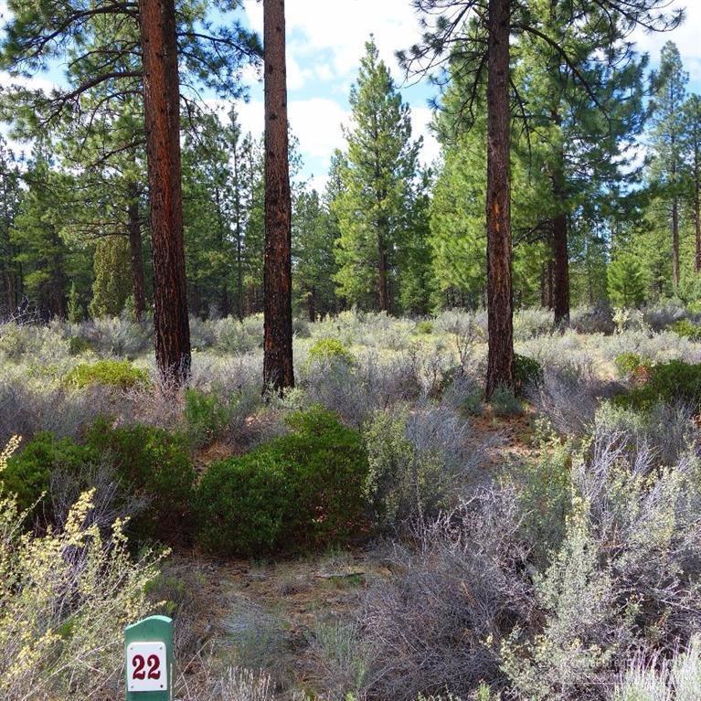 0 Macalpine Loop Bend, OR 97702 - Photo 6 of 22 Lot 22