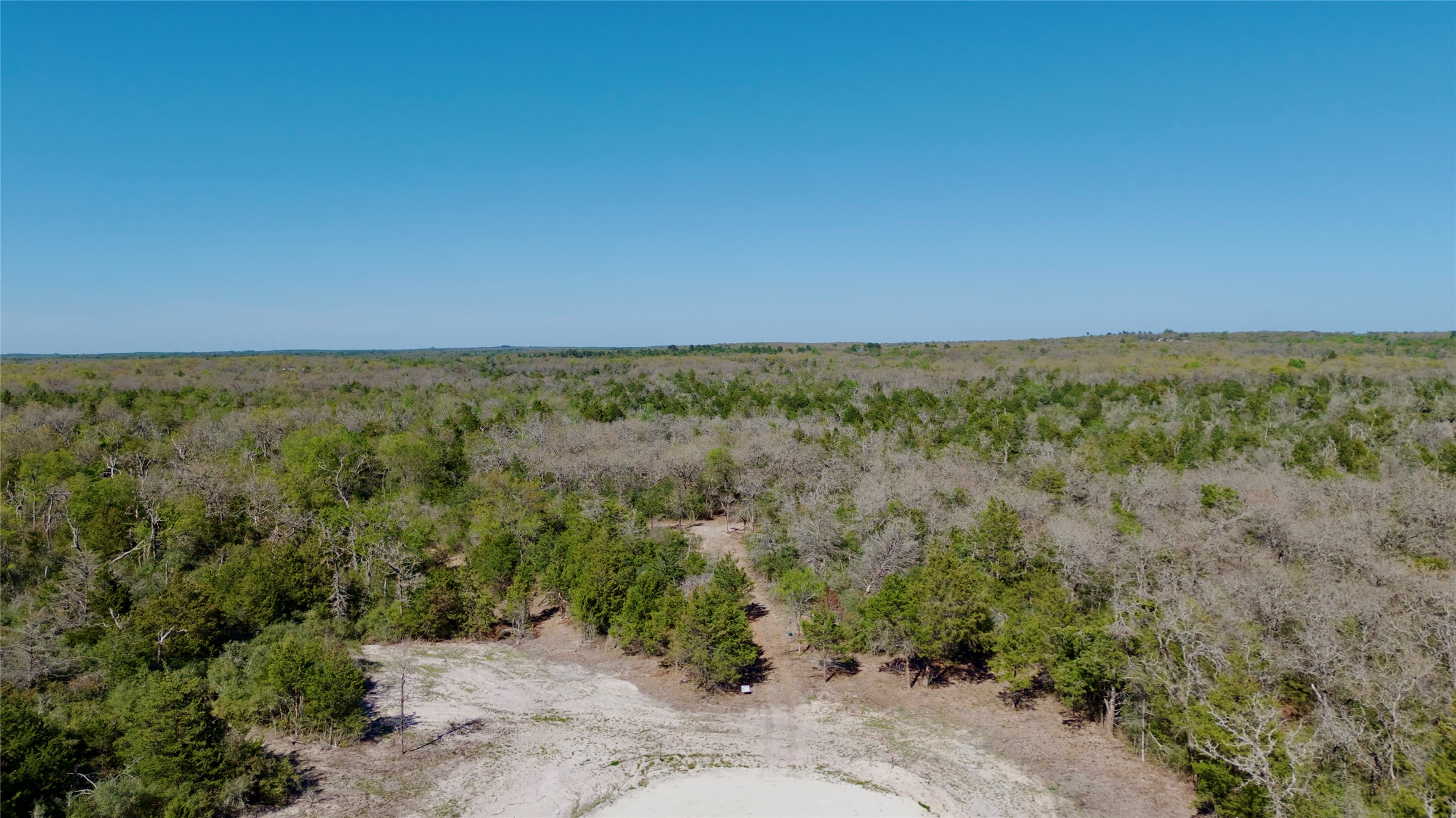 100 Pr 617 Roads Kosse, TX 76653 - Photo 19 of 26 an aerial view of a houses with a forest