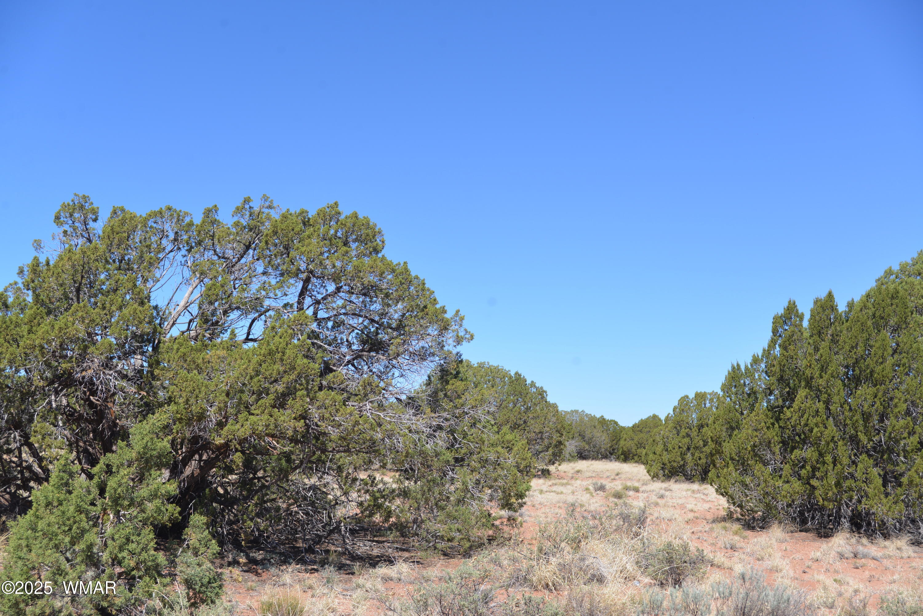 4278 Indian Bend Road Snowflake, AZ 85937 - Photo 3 of 4 a view of a field