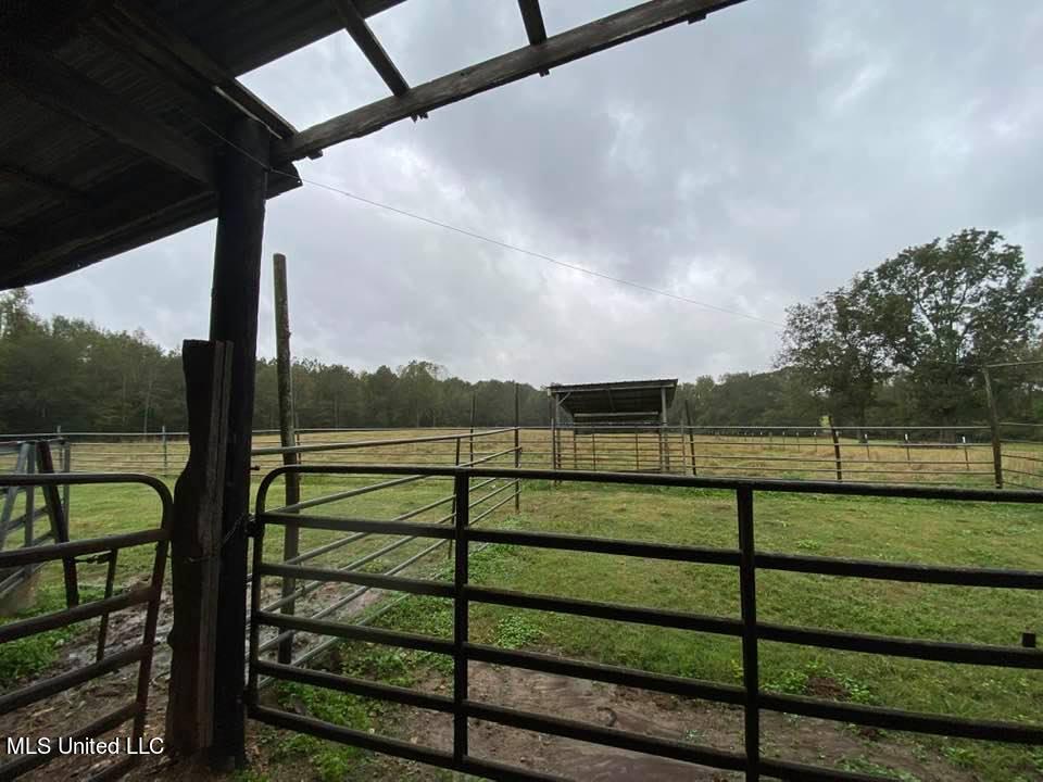 1778 D Newman Road Utica, MS 39175 - Photo 15 of 15 250980049_10219704000965810_826694843135