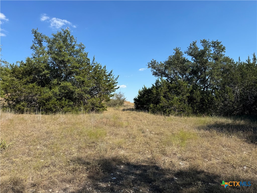 Lot 25 Bowles Ranch Road Belton, TX 76513 - Photo 2 of 2