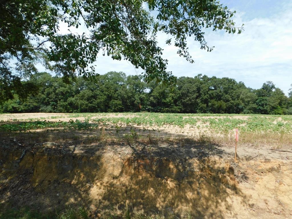 Undisclosed Address Dothan, AL 36301 - Photo 1 of 1