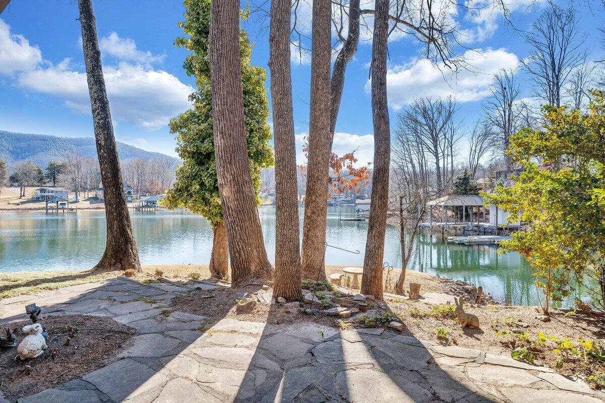 188 Hardy Court Penhook, VA 24137 - Photo 63 of 114 188 Hardy Ct. E40