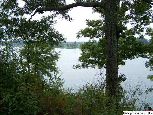 Boat Ramp Trail, Unit 109 Sylacauga, AL 35150 - Photo 3 of 6