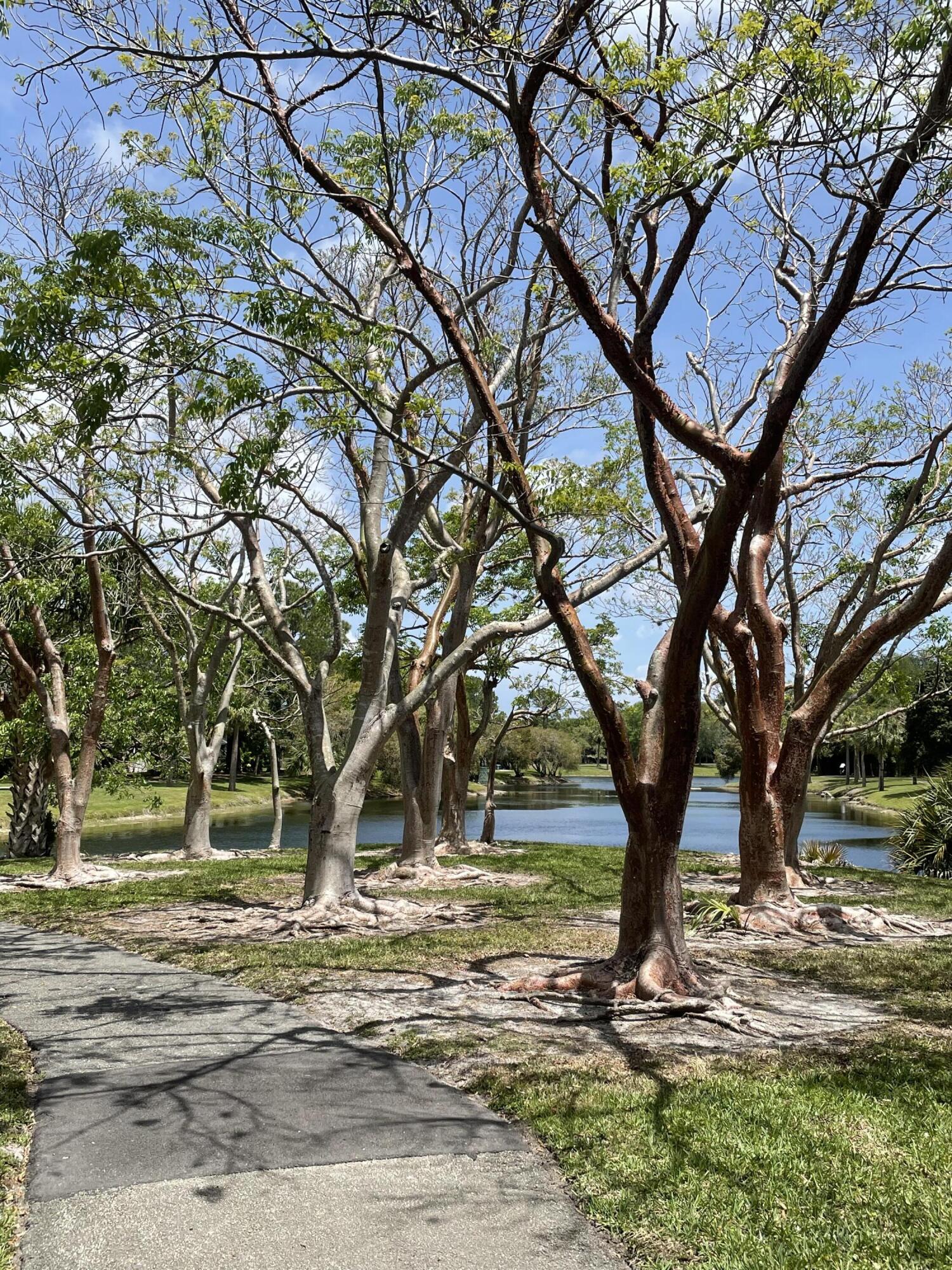 6069 Old Court Road, Unit 101 Boca Raton, FL 33433 - Photo 43 of 50 Park
