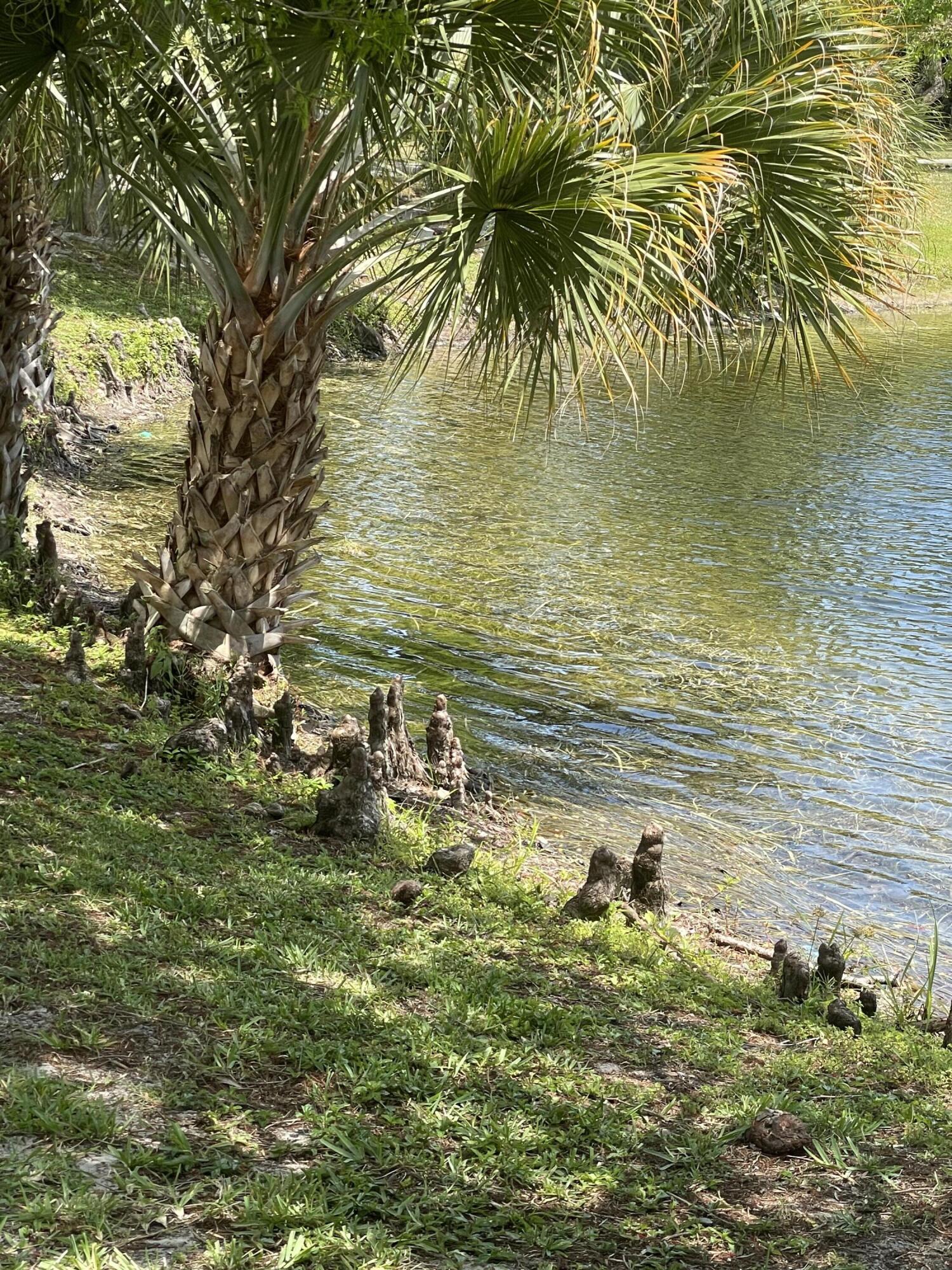 6069 Old Court Road, Unit 101 Boca Raton, FL 33433 - Photo 47 of 50 Park4