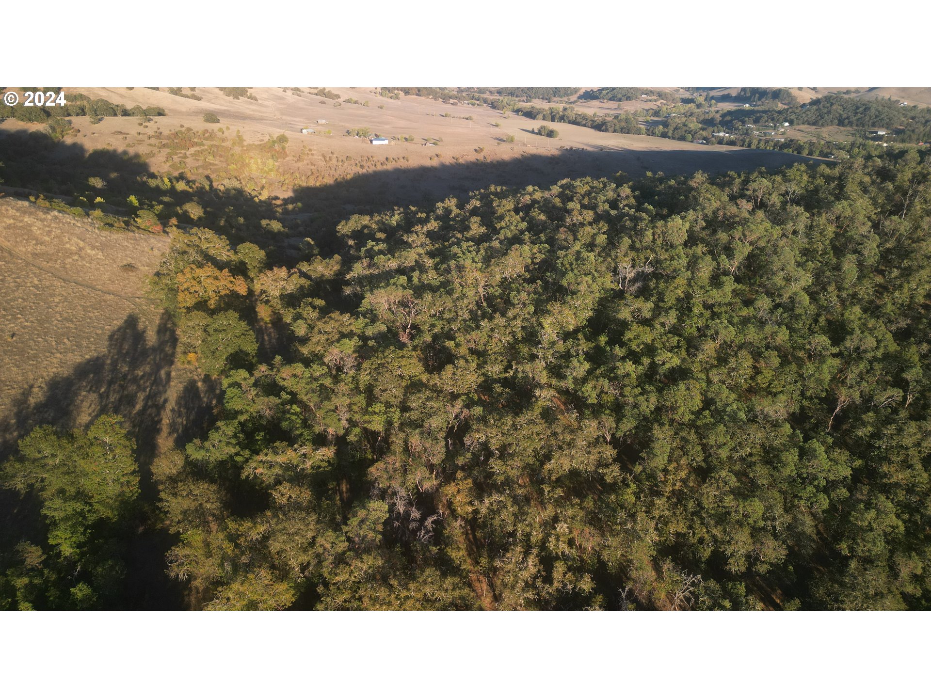 Roberts Creek Road Roseburg, OR 97470 - Photo 8 of 23 Gallery Image 8