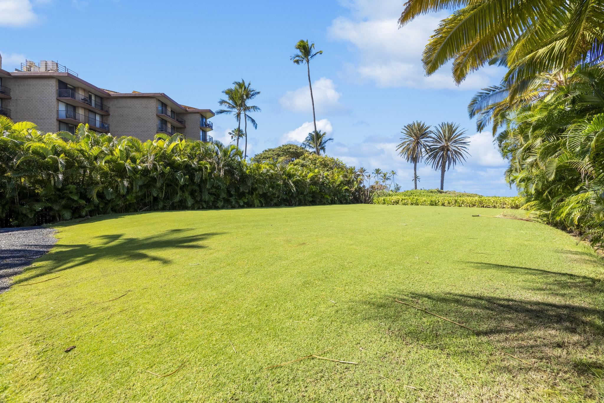 892 South Kihei Road Kihei, HI 96753 - Photo 14 of 22 a view of a swimming pool and a yard