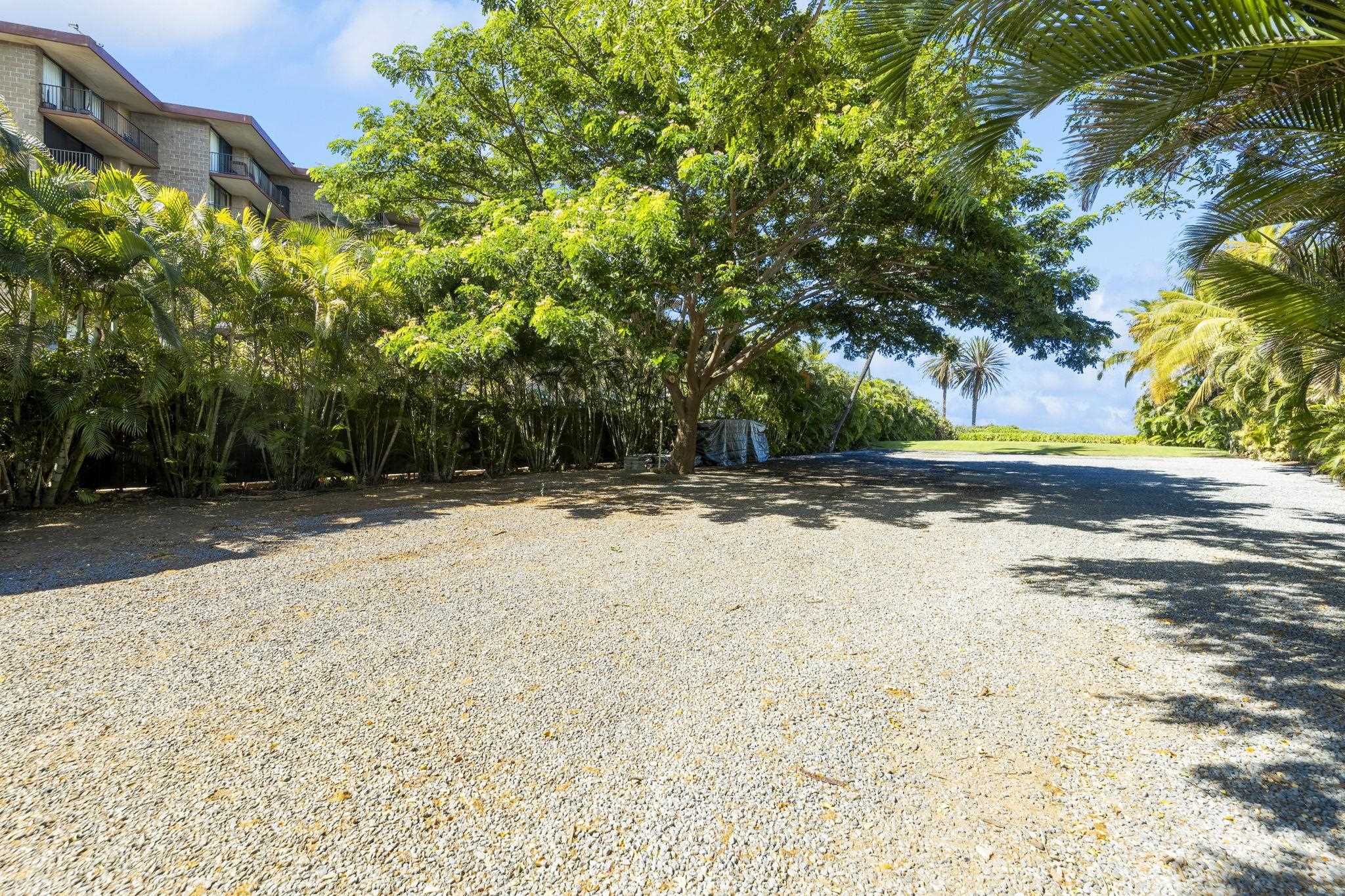 892 South Kihei Road Kihei, HI 96753 - Photo 18 of 22 a backyard of a house with lots of green space