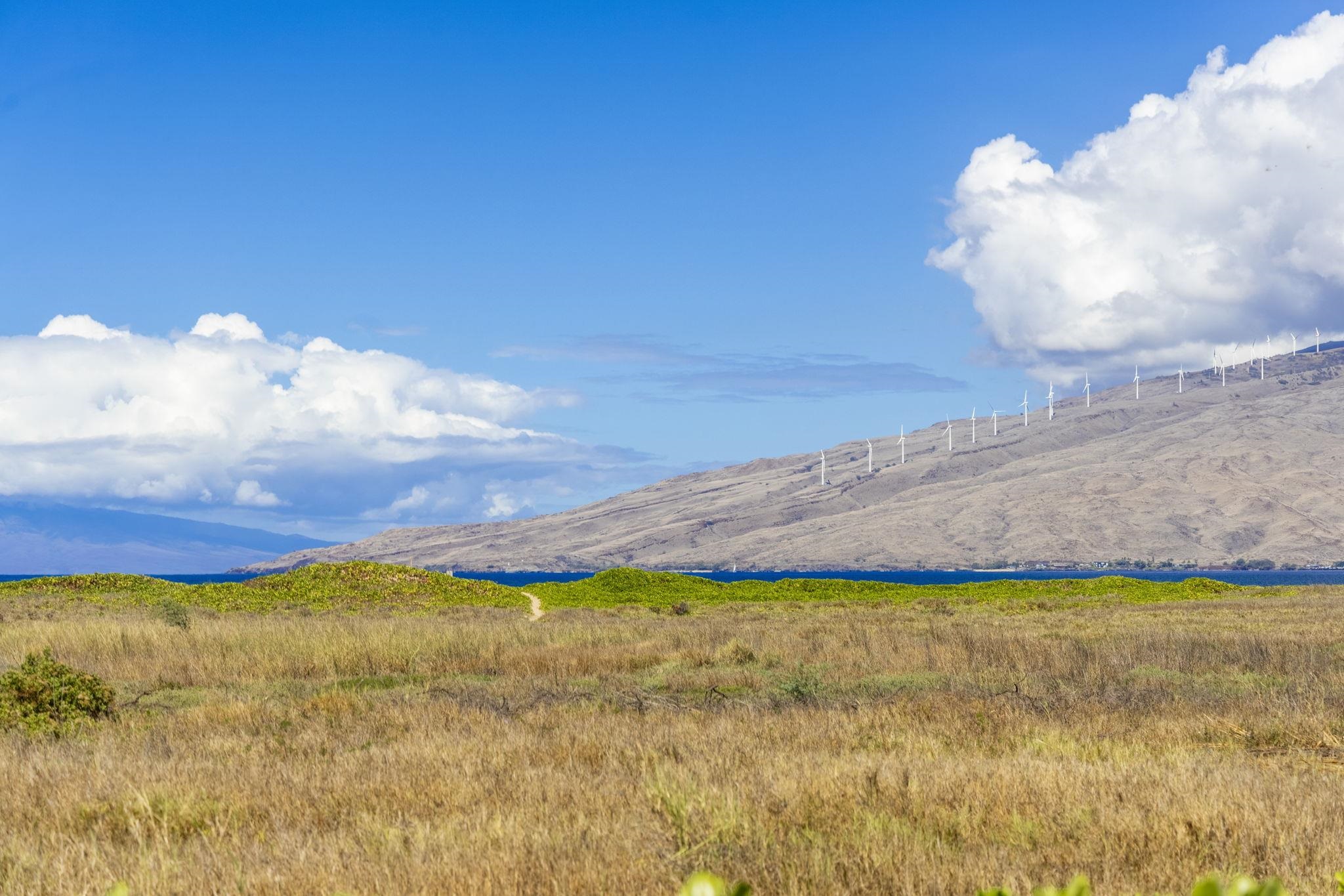 892 South Kihei Road Kihei, HI 96753 - Photo 20 of 22 a view of swimming pool and an outdoor space