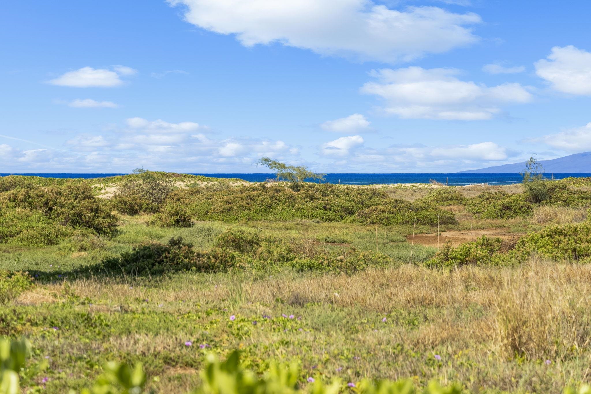 892 South Kihei Road Kihei, HI 96753 - Photo 21 of 22 a view of a lake view