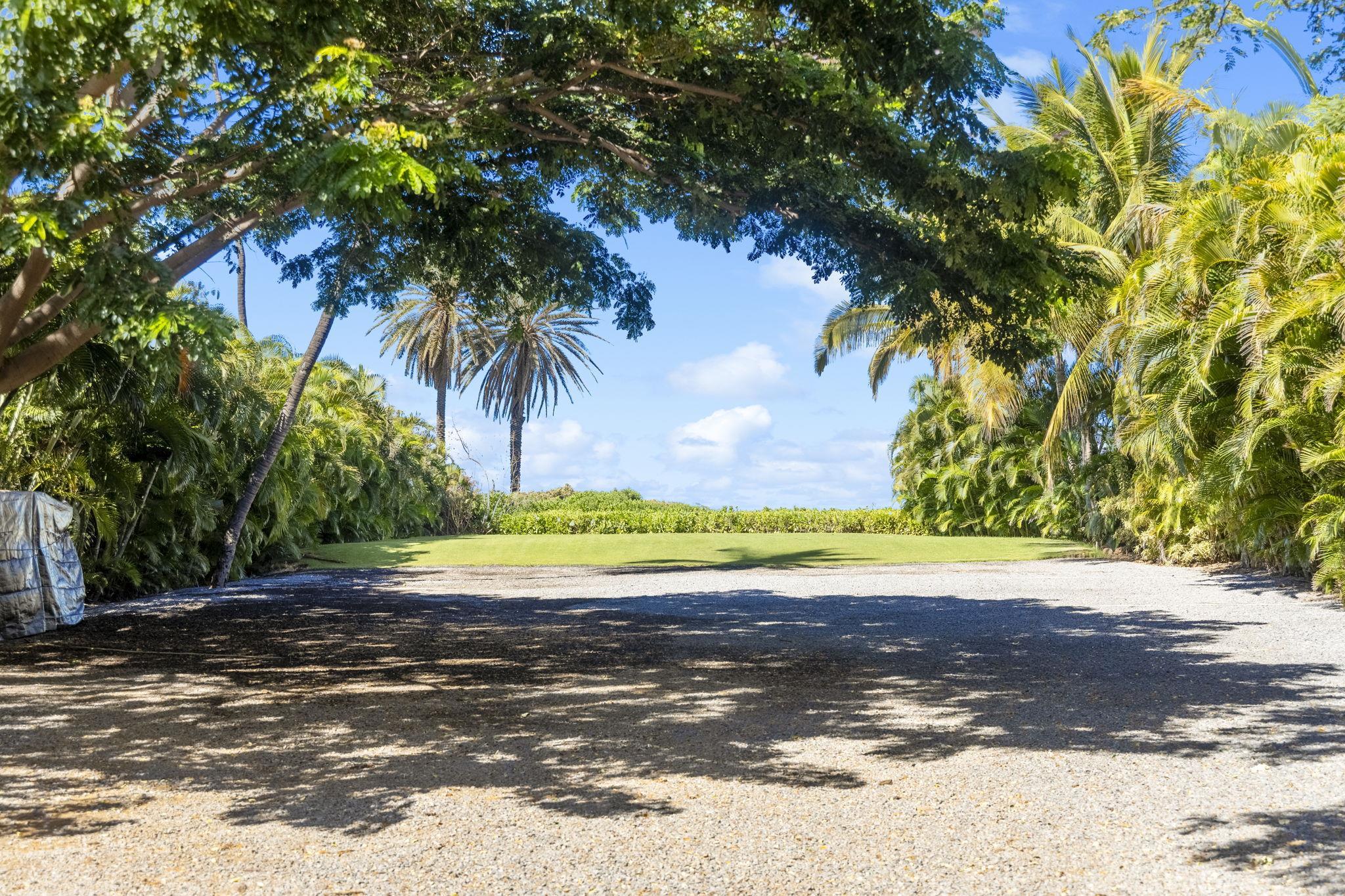892 South Kihei Road Kihei, HI 96753 - Photo 22 of 22 a view of a water fountain with large trees