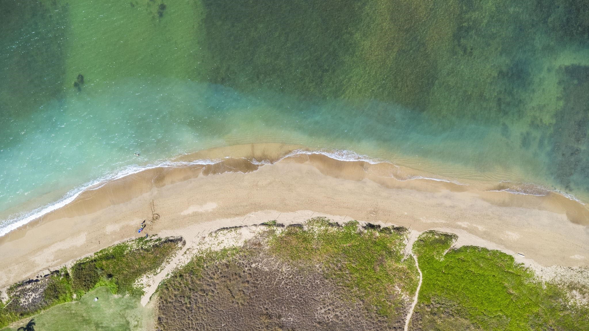 892 South Kihei Road Kihei, HI 96753 - Photo 10 of 22 a view of a yard