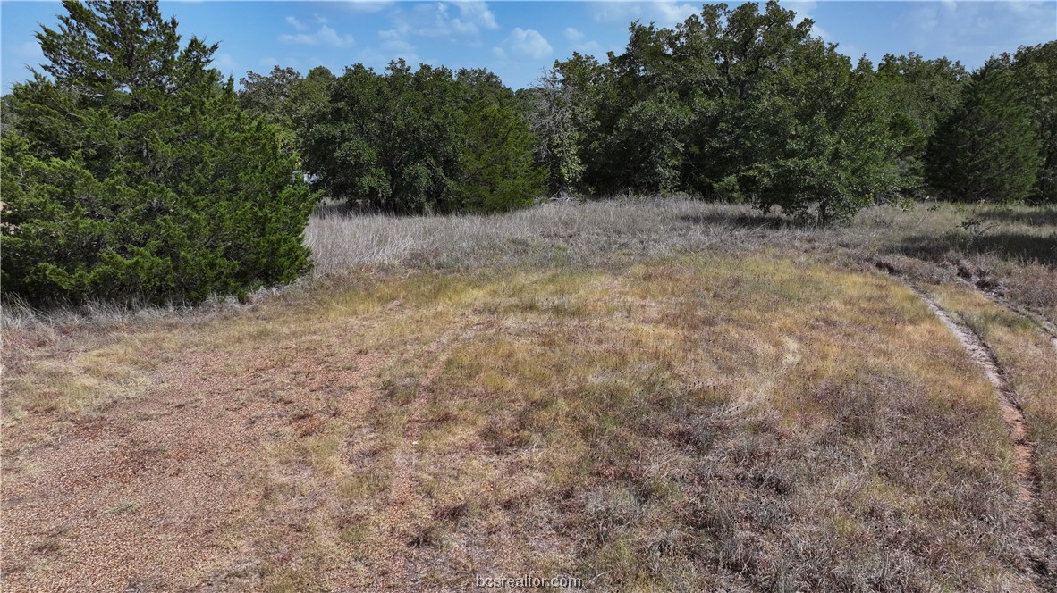 0 Sue Lane Somerville, TX 77879 - Photo 2 of 10 a view of backyard with green space