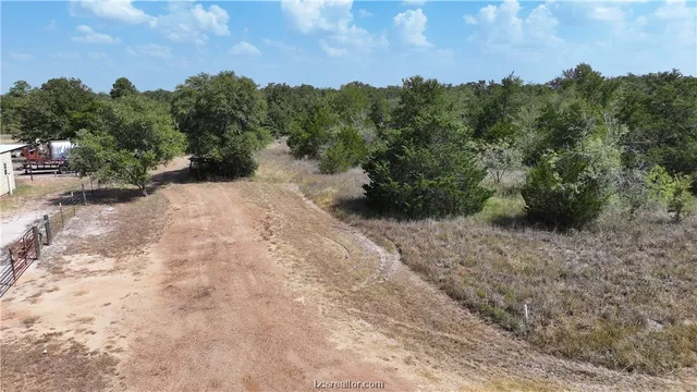 a view of a dry yard with trees in the background