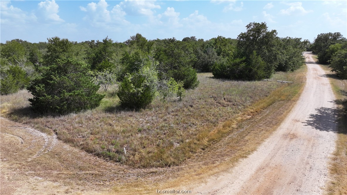 0 Sue Lane Somerville, TX 77879 - Photo 4 of 10 a view of a yard with a tree