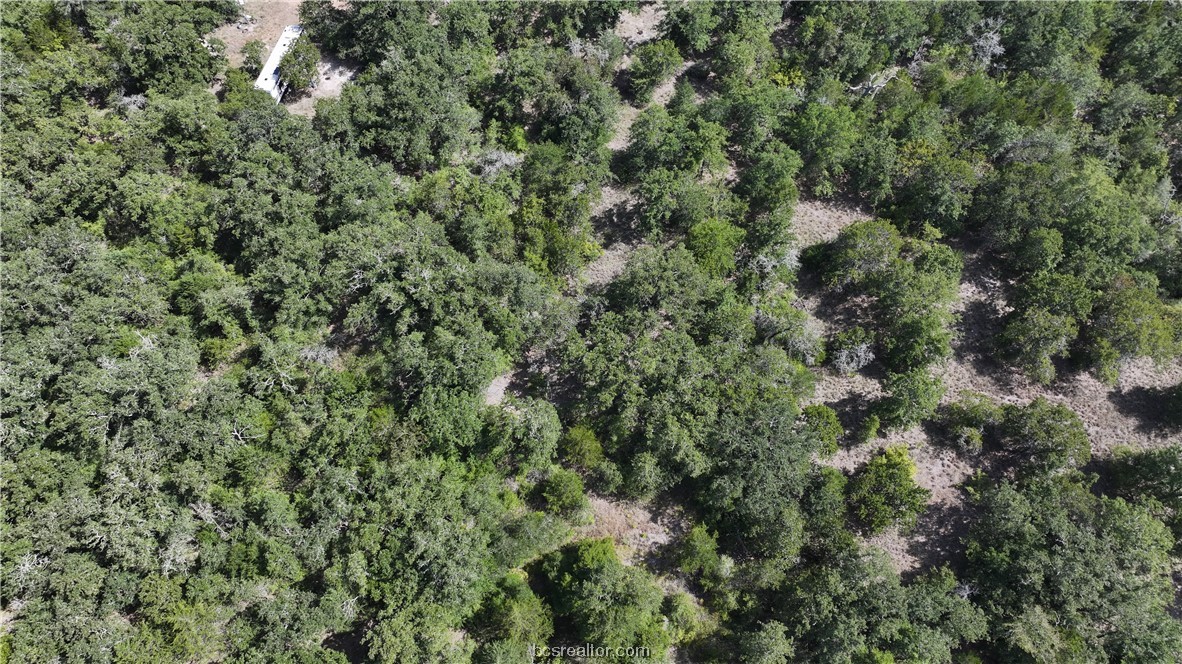 0 Sue Lane Somerville, TX 77879 - Photo 8 of 10 an aerial view of residential house with outdoor space and trees all around