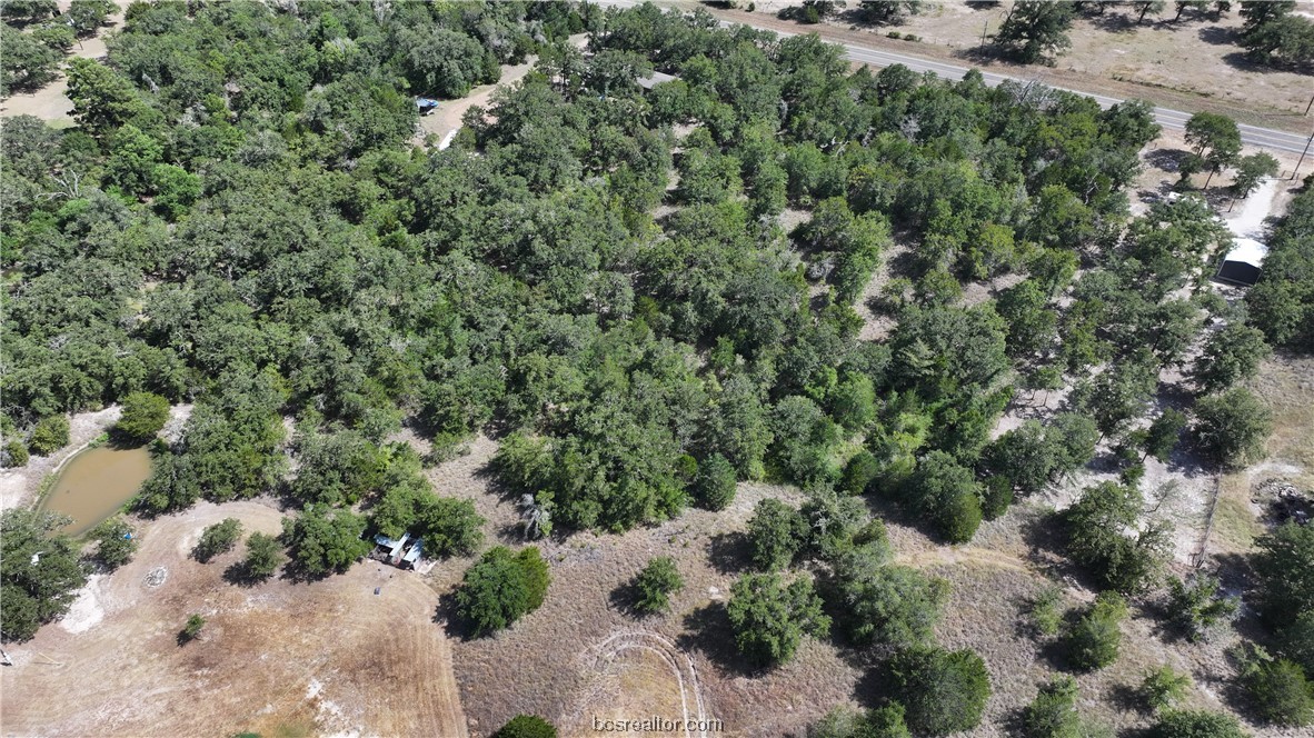 0 Sue Lane Somerville, TX 77879 - Photo 9 of 10 a view of a forest with a building