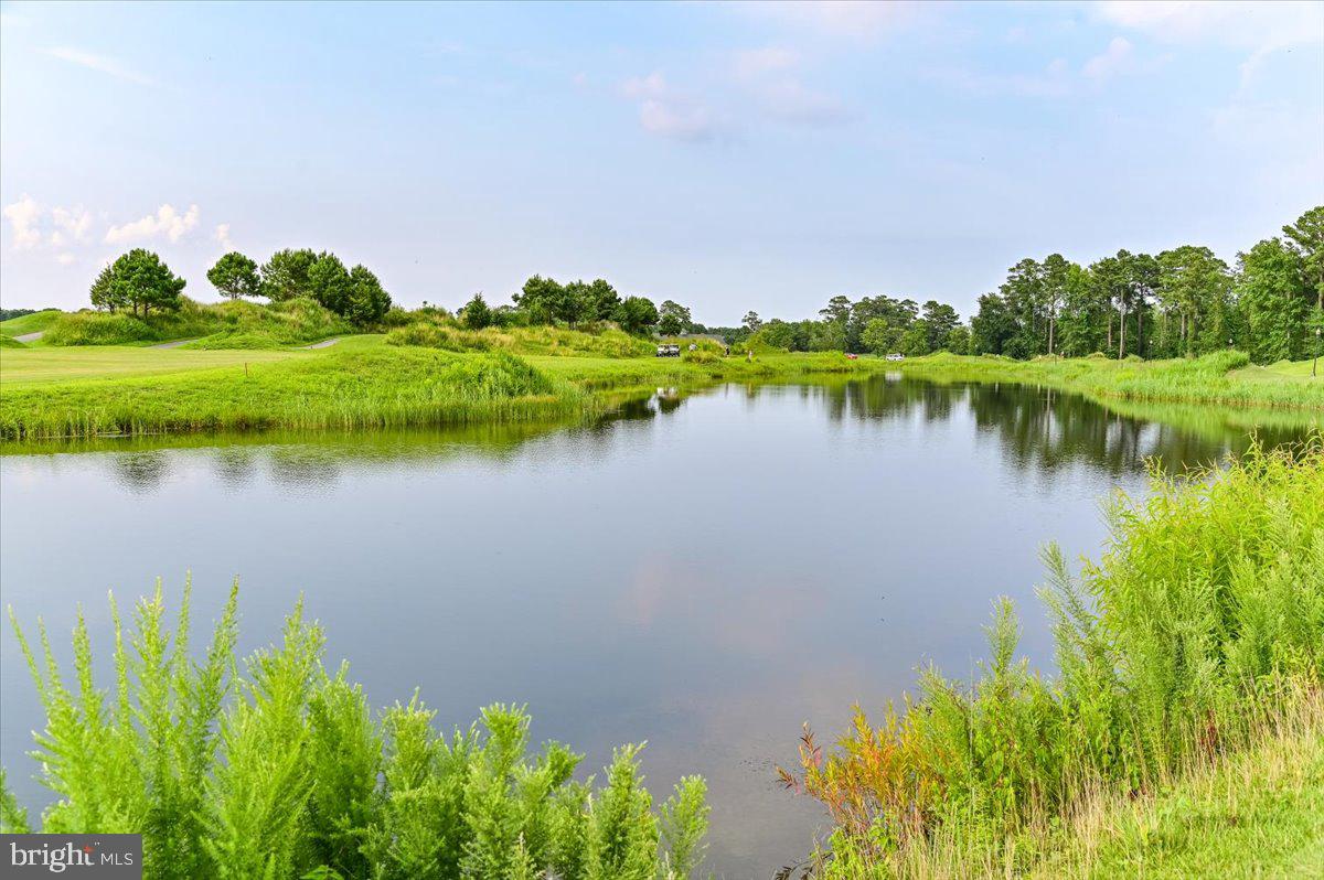 10204 Ruffian Lane Berlin, MD 21811 - Photo 66 of 70 Beautiful scenic vista