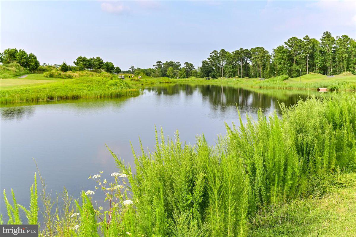 10204 Ruffian Lane Berlin, MD 21811 - Photo 68 of 70 Water and golf course views