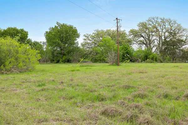 a big yard with lots of green space and deers