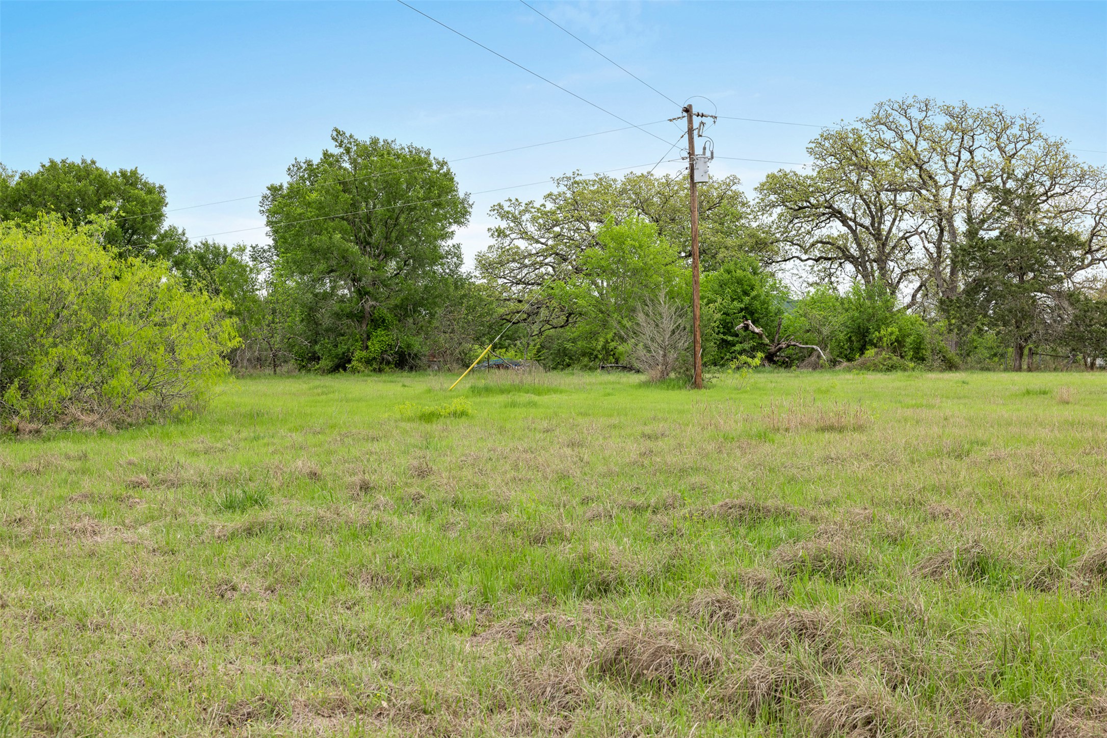 433 County Road 433 Dime Box, TX 77853 - Photo 11 of 23 a big yard with trees in the background