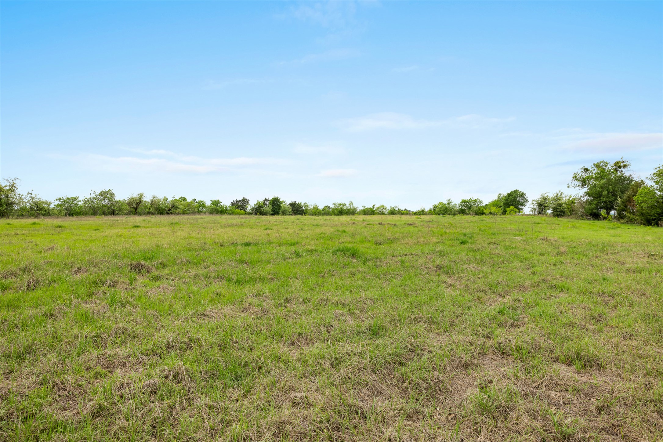 433 County Road 433 Dime Box, TX 77853 - Photo 13 of 23 a view of a field with an ocean