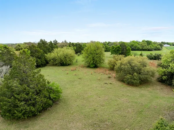 a view of a green field with lots of bushes