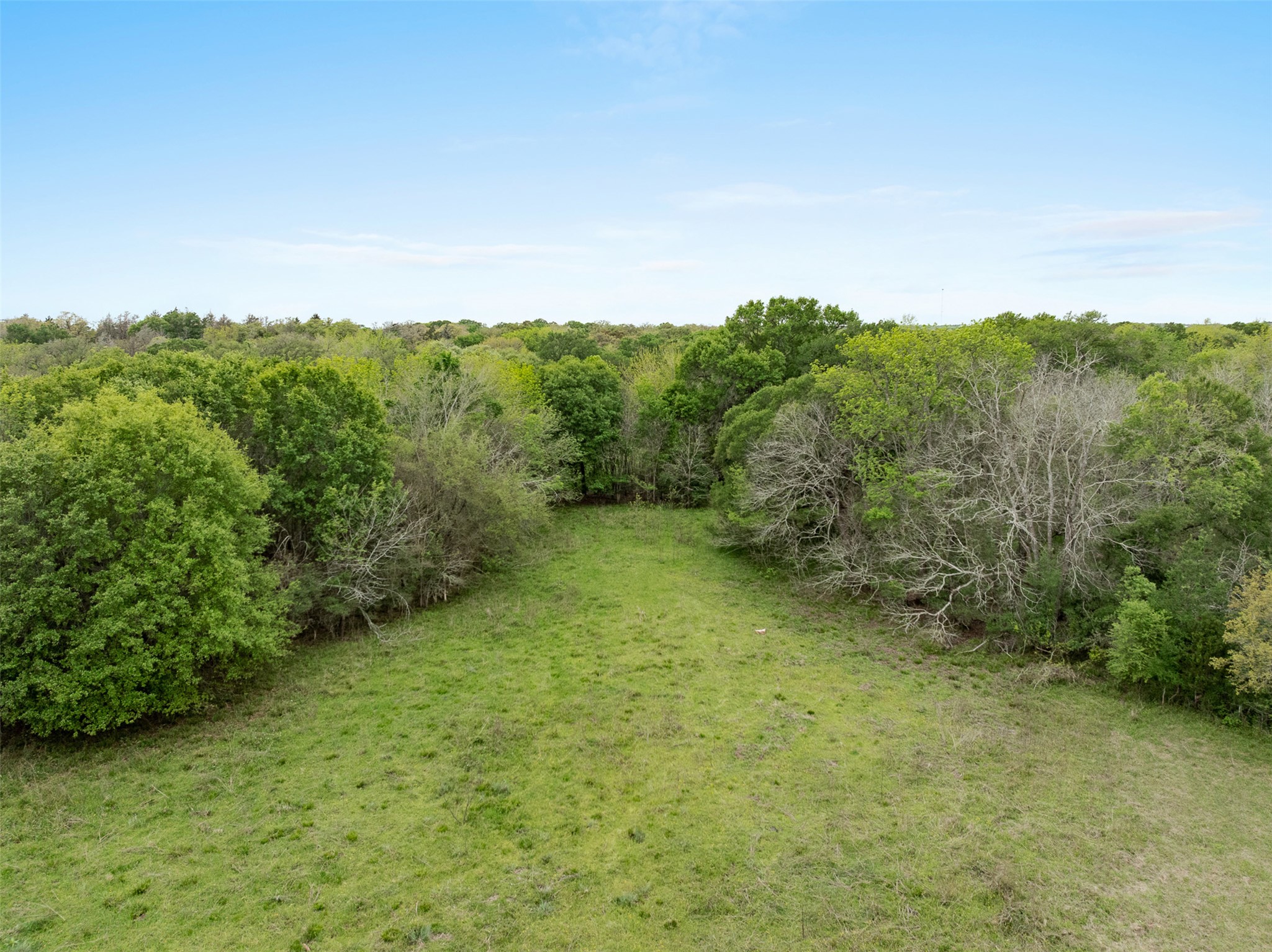 433 County Road 433 Dime Box, TX 77853 - Photo 16 of 23 a view of a green field with lots of bushes