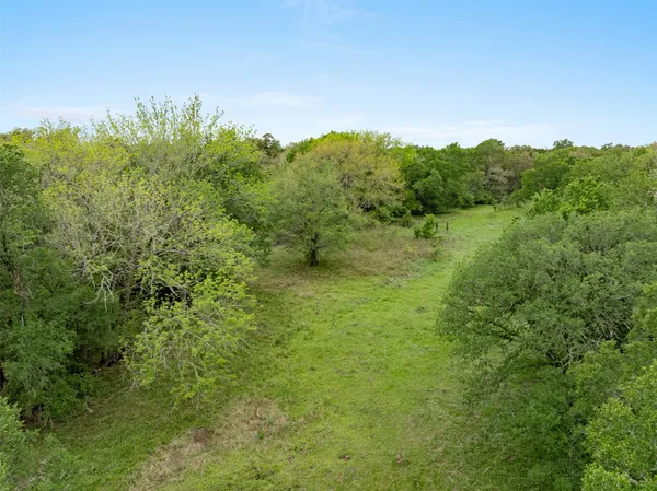 a view of a field of grass and trees