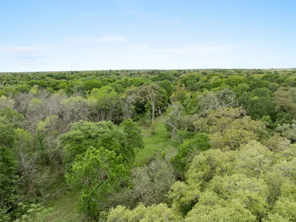 a view of a big yard with green space