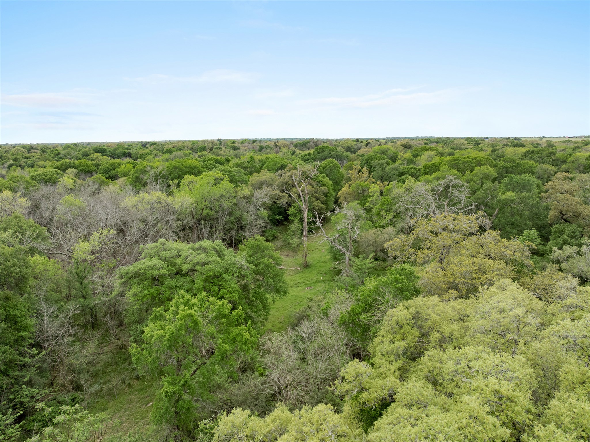 433 County Road 433 Dime Box, TX 77853 - Photo 20 of 23