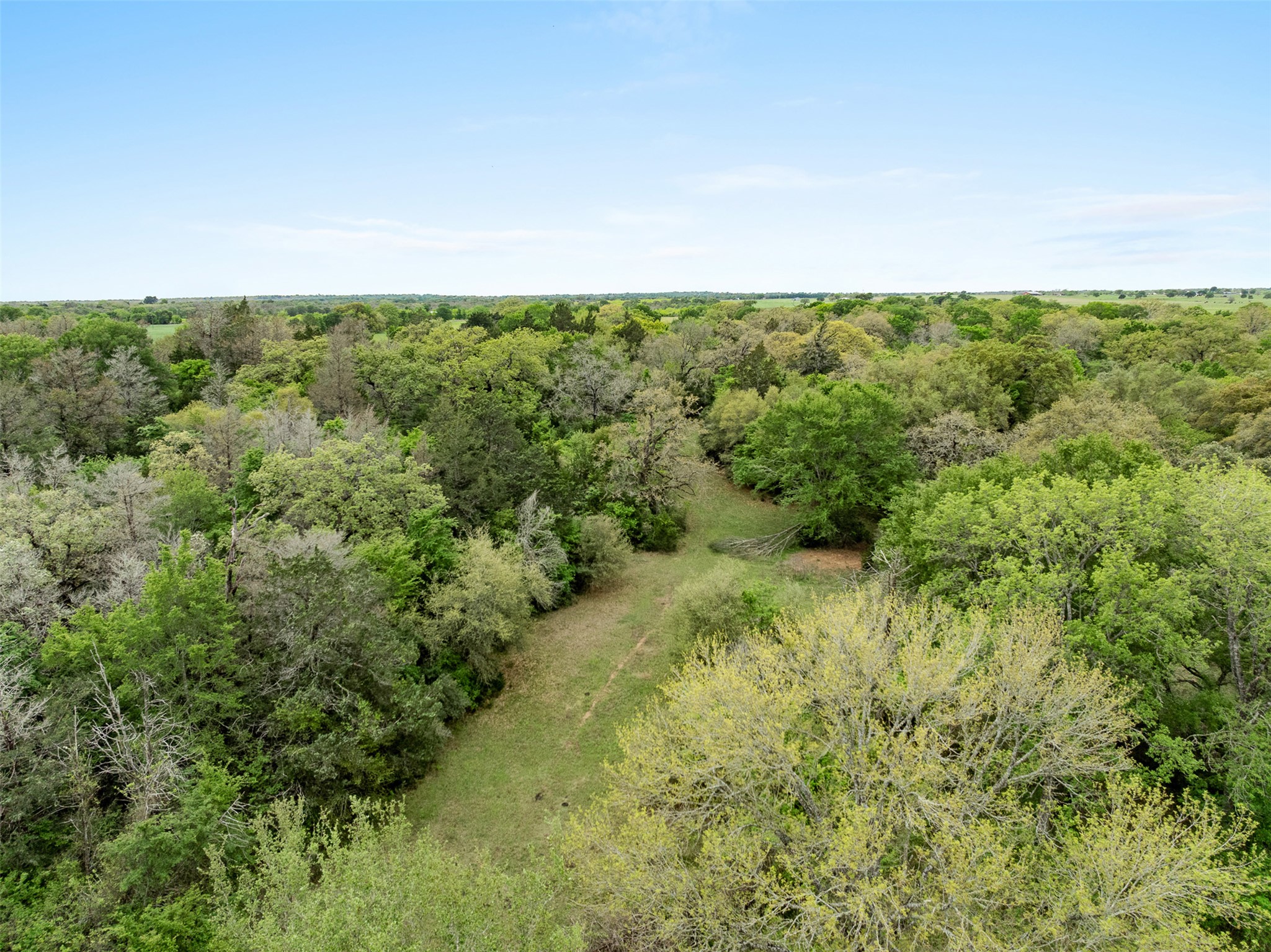 433 County Road 433 Dime Box, TX 77853 - Photo 21 of 23 a view of a field of grass and trees