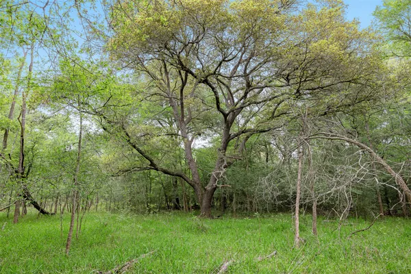 a view of a garden