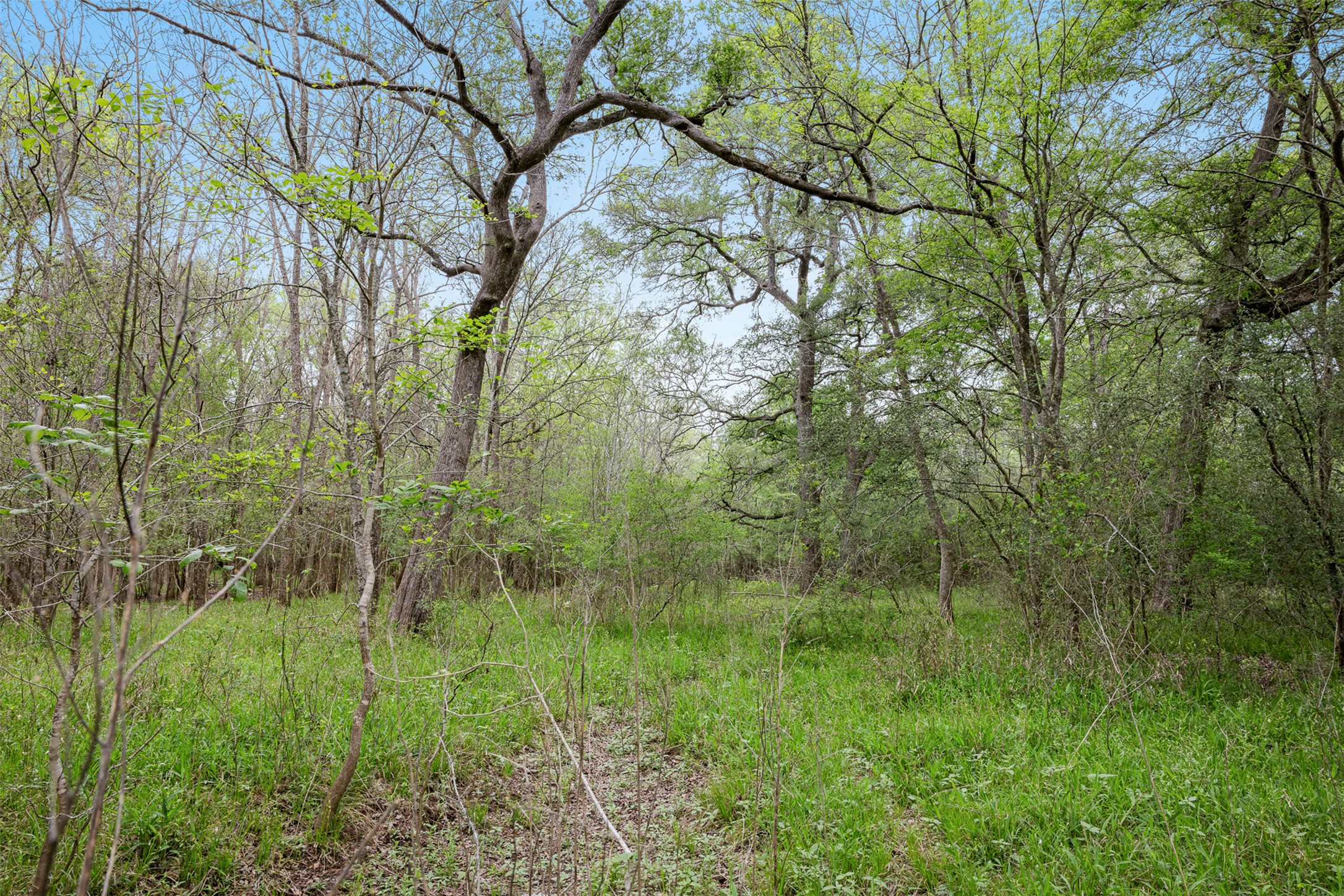 433 County Road 433 Dime Box, TX 77853 - Photo 7 of 23 a view of a garden