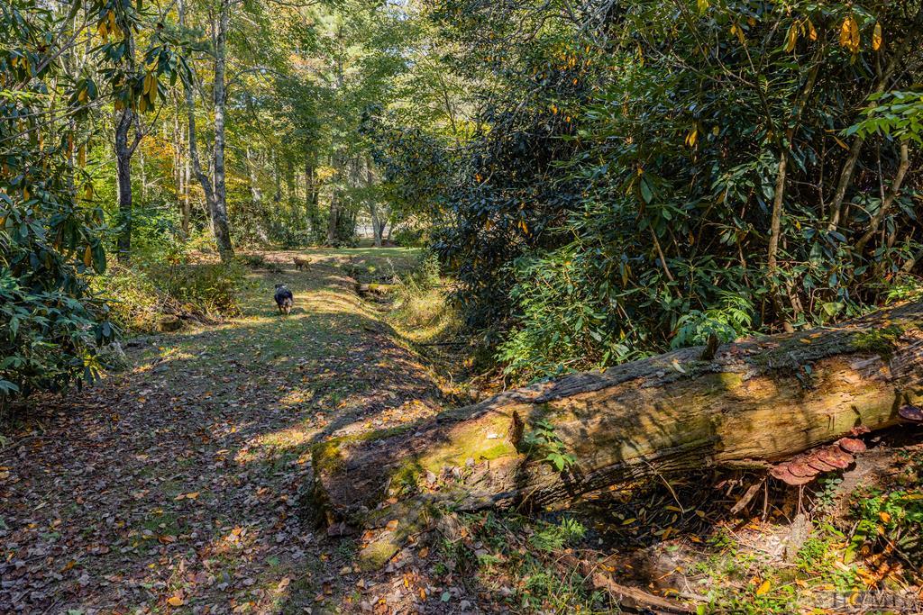 144 Laurel Knob Road Cashiers, NC 28717 - Photo 33 of 54 Gallery Image 33