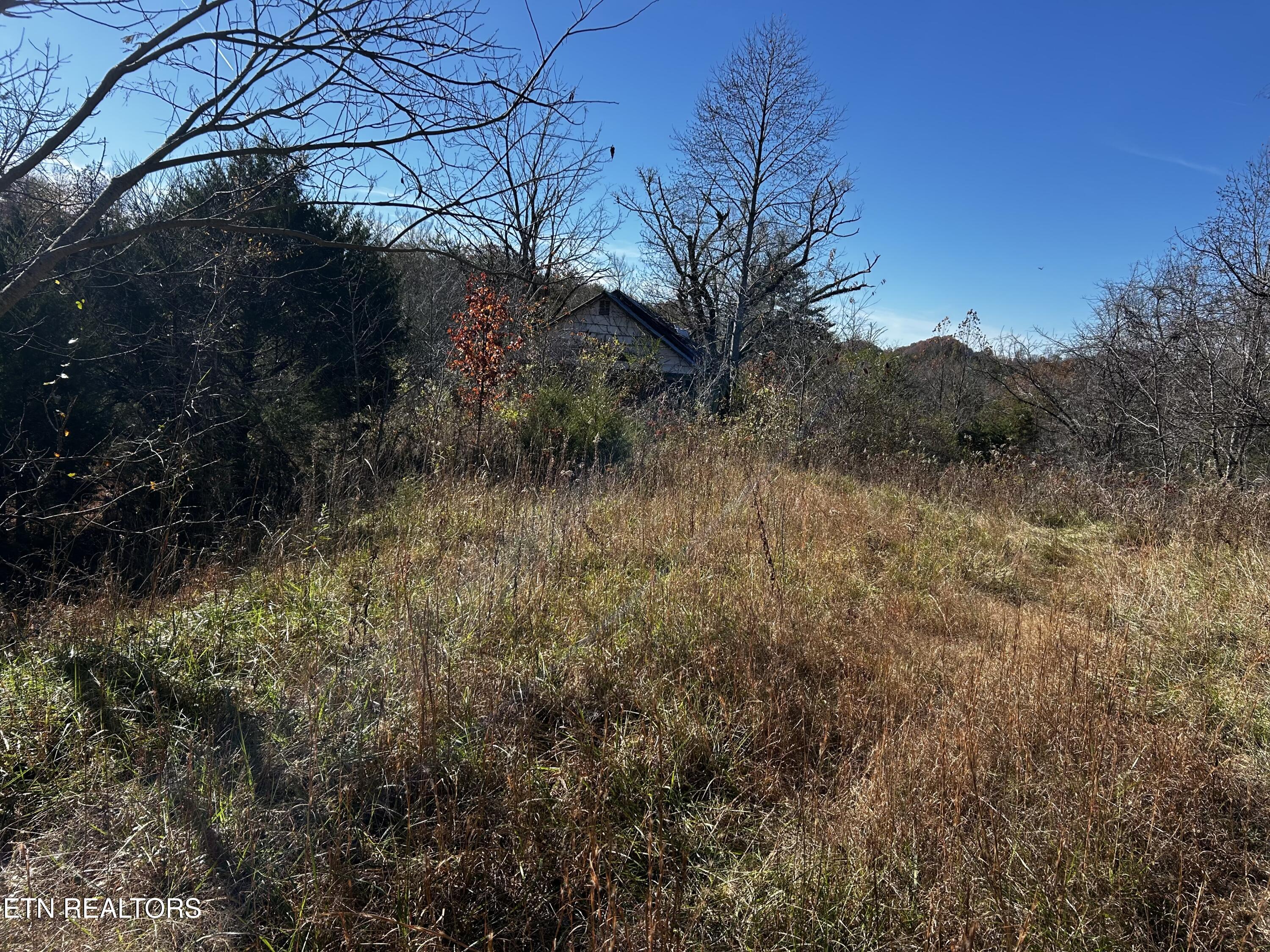 Shadden Road Tellico Plains, TN 37385 - Photo 2 of 4 IMG_7641