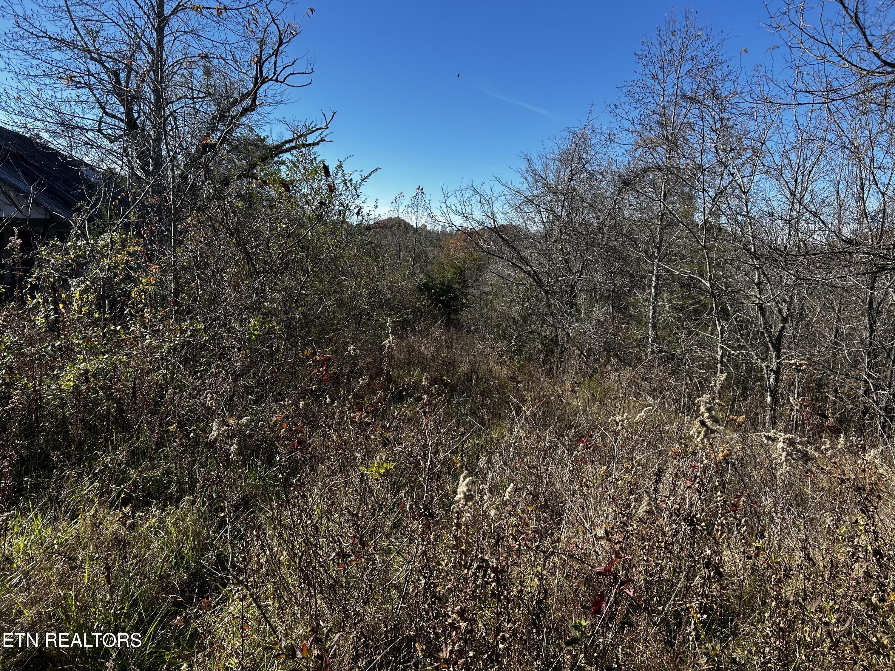 Shadden Road Tellico Plains, TN 37385 - Photo 3 of 4 IMG_7643
