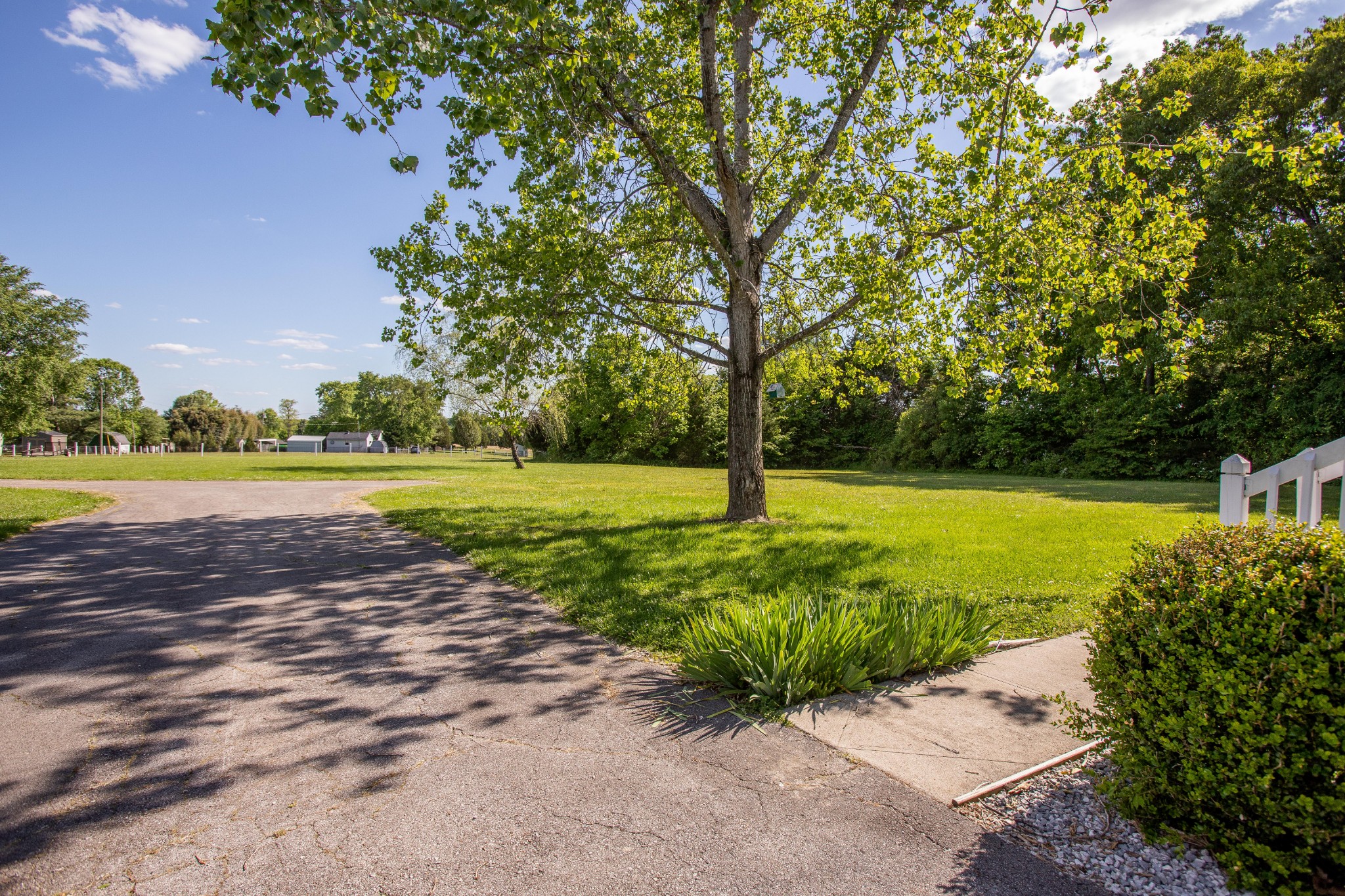4809 Ollie Chunn Road Spring Hill, TN 37174 - Photo 3 of 27 a view of a garden with swimming pool