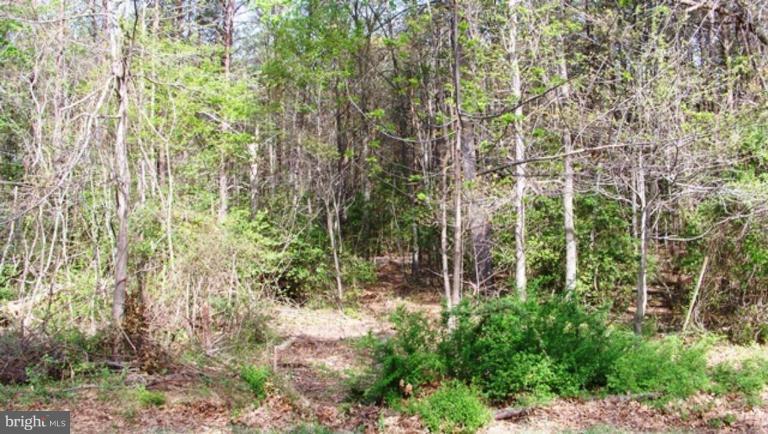 550 Camp Conoy Road Lusby, MD 20657 - Photo 3 of 3 Lot 3 Percolation Area