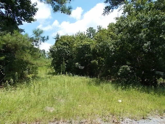 133 Old Arrowhead Road Huger, SC 29450 - Photo 1 of 1 133 Old Arrowhead Trail Huger SC