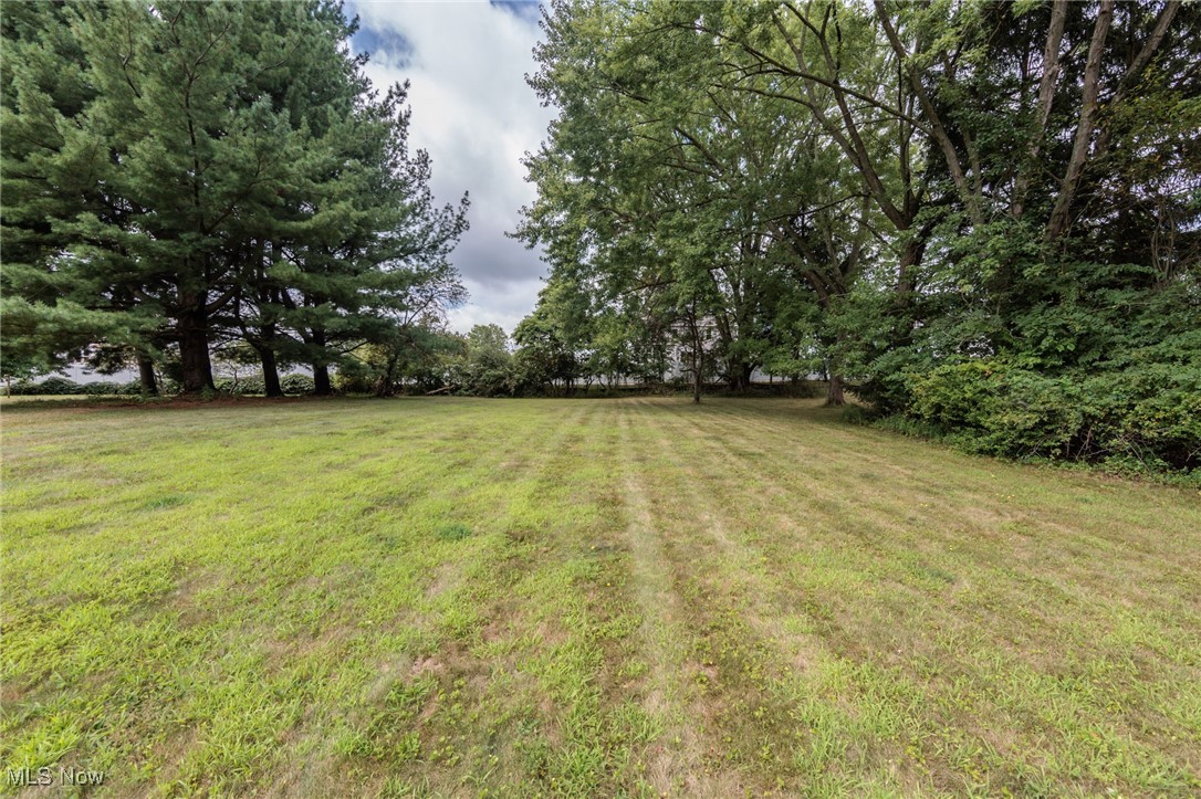3324 Marsh Road Stow, OH 44224 - Photo 3 of 33 View of grassy yard