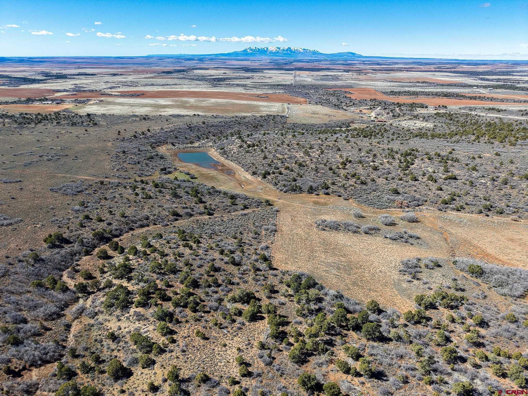 Tbdwp County Line Road Dove Creek, CO 81324 - Photo 19 of 41 Gallery Image 19