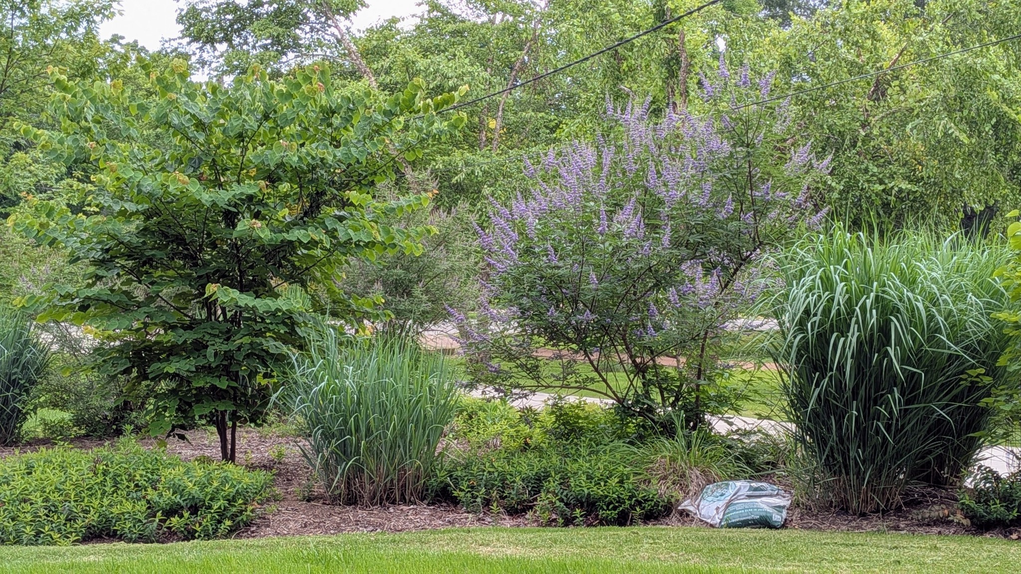 1116 Davidson Road Nashville, TN 37205 - Photo 19 of 53 Gallery Image 19