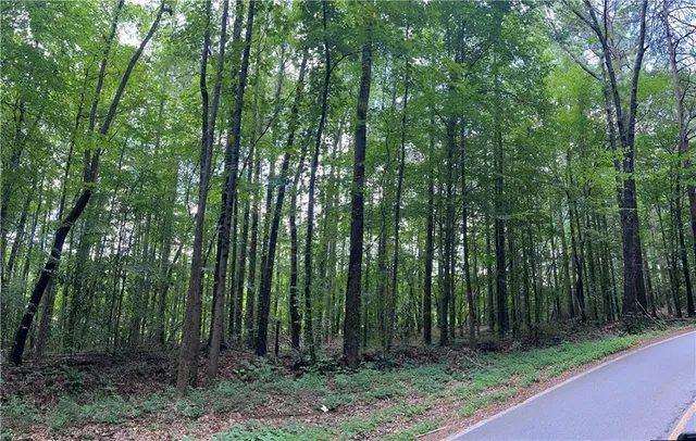 a view of outdoor space and green space